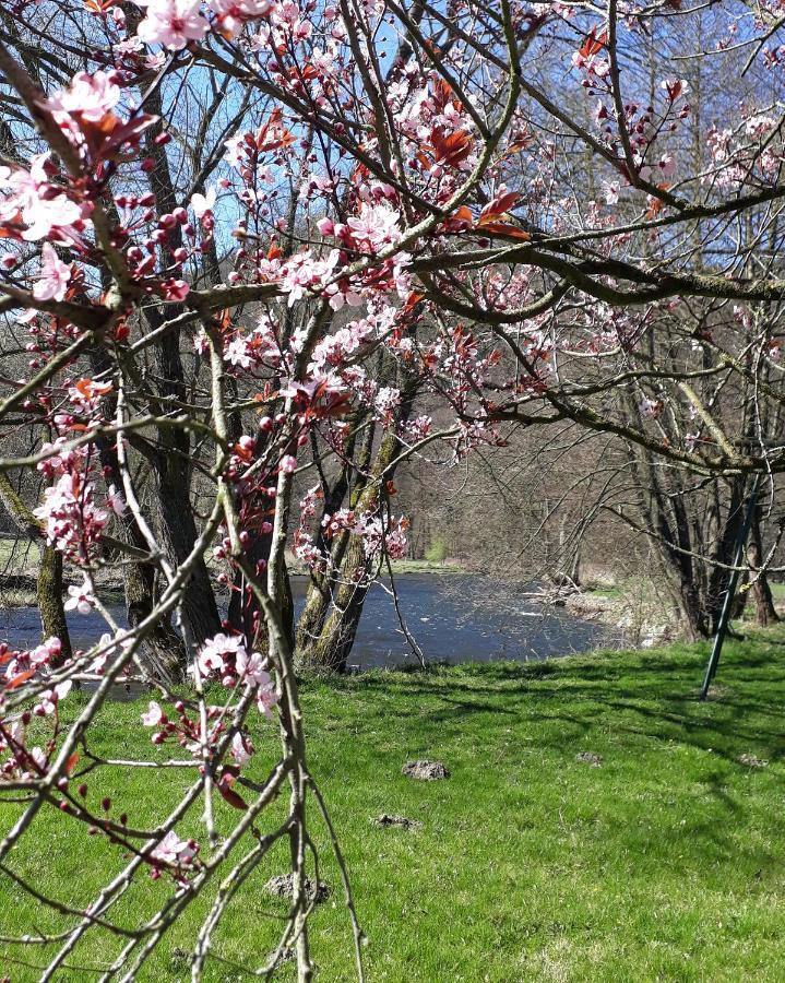 Bed & Breakfast Vallee De L'Ourthe Marcourt Bagian luar foto